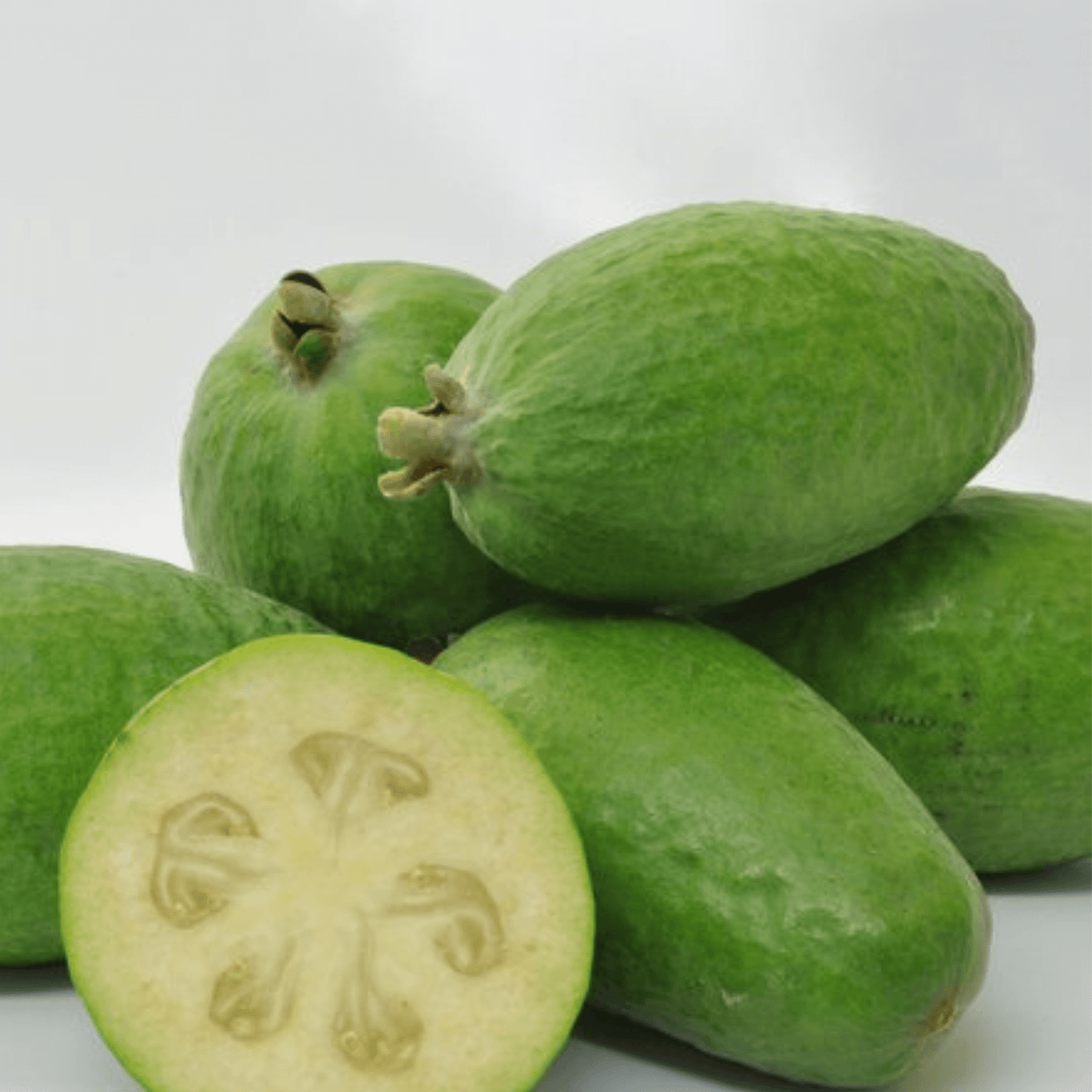 Feijoa Gift Delivered